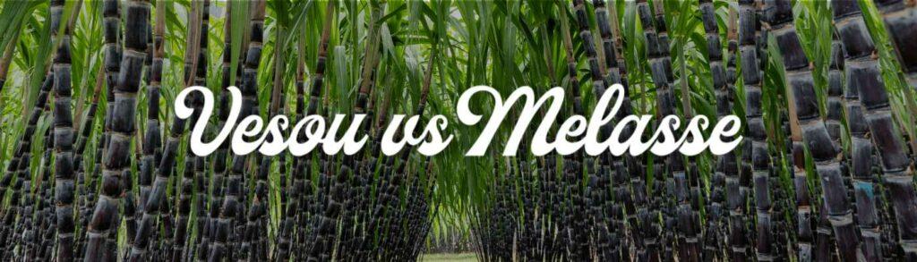 Vezou vs Melasse - COmment sont produit les rhums