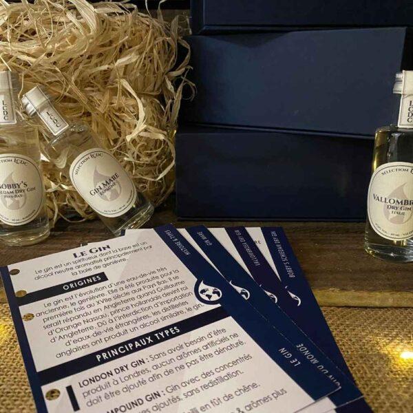 Le club des connaisseurs - box gin 3 gins : abonnement mensuel, coffret cadeau