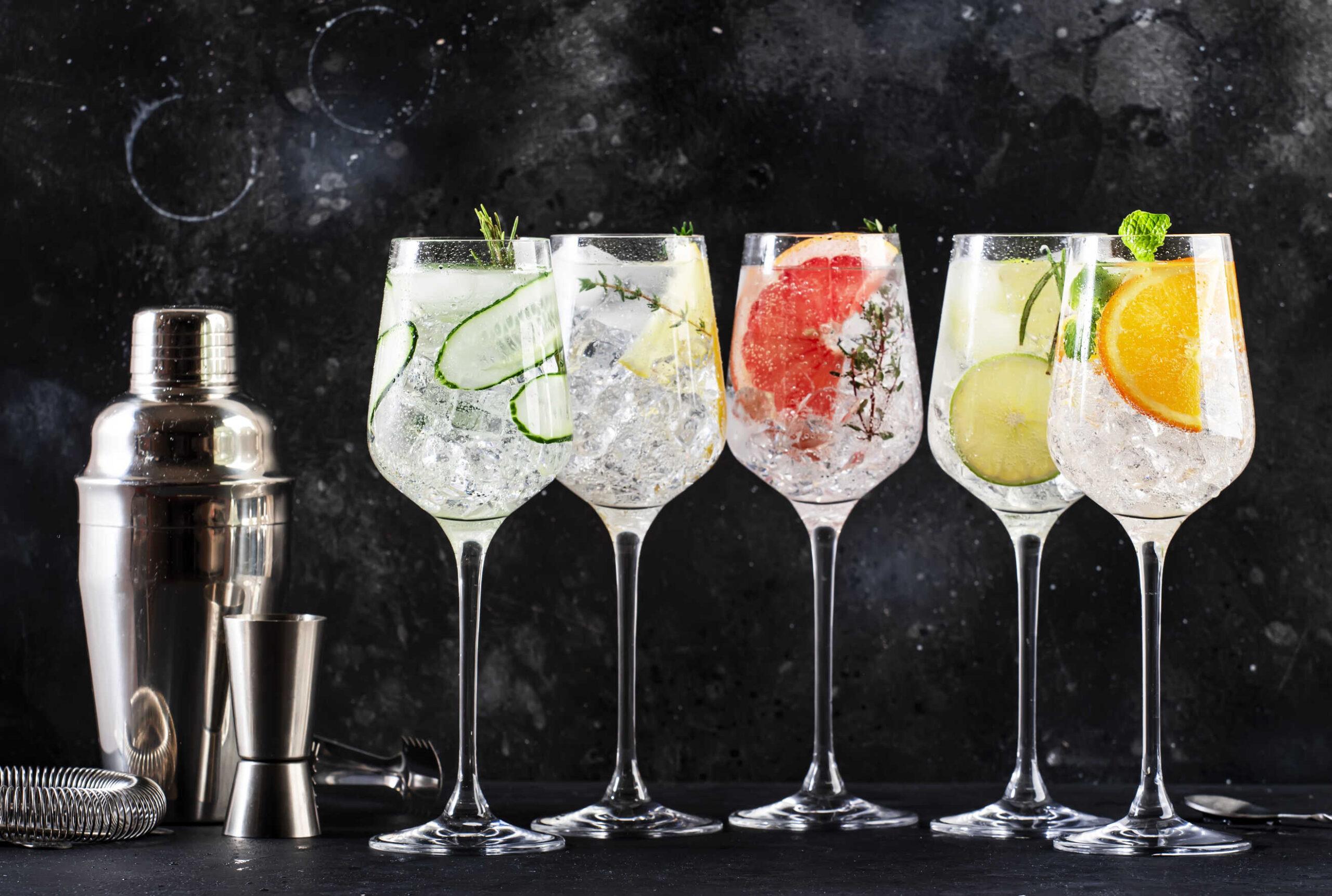 Gin pour Gin Tonic - Photo gin tonic - Le Club des Connaisseurs