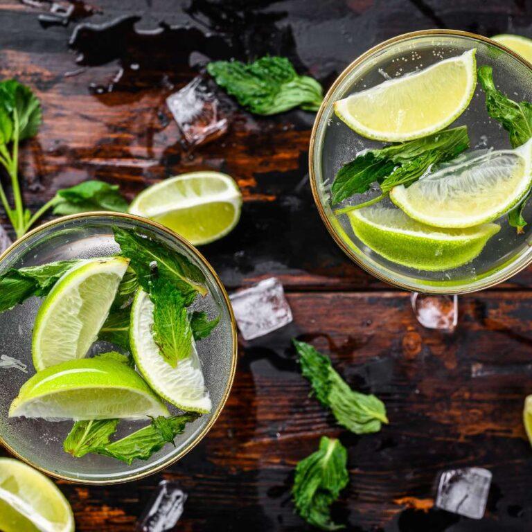 Quel rhum pour mojito le club des connaisseurs