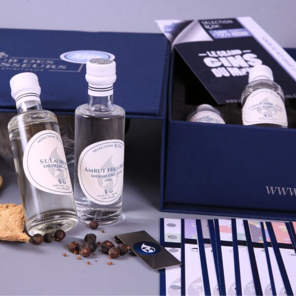 Le Grand Coffret Gins Du Monde Le Club des Connaisseurs 12 Gins de France gins anglais gins d'Asie