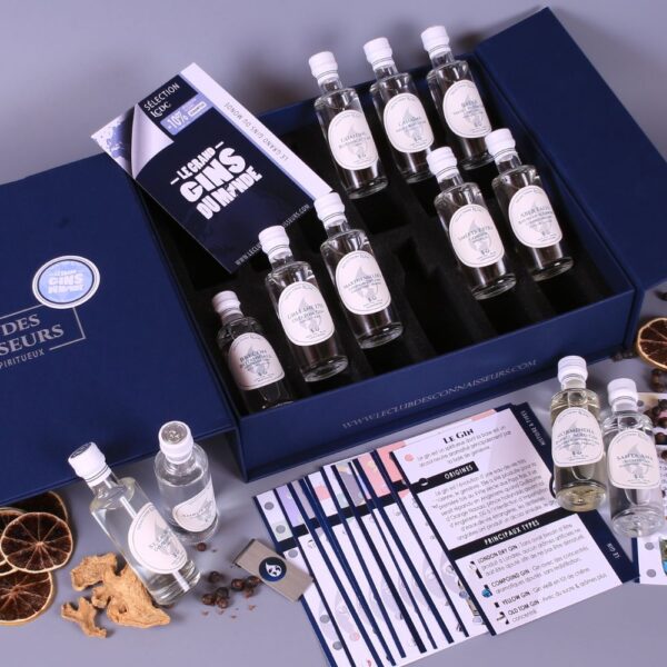Le Grand Coffret Gins Du Monde Le Club des Connaisseurs Idée Cadeau Homme Femme Fête des Pères Noel
